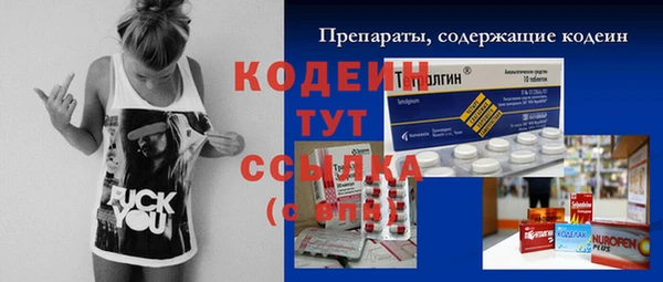 хмурый Абаза