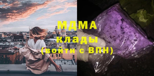 СК Алексин