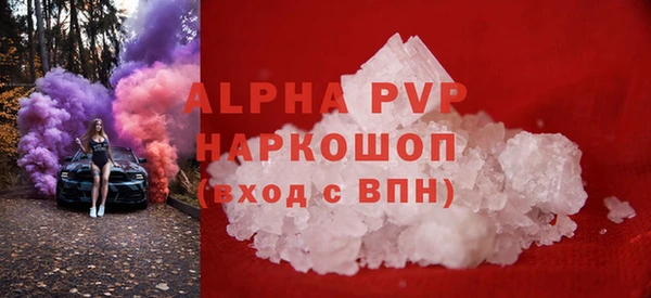 хмурый Абаза