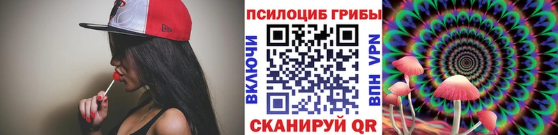 где купить наркоту  Юхнов  Псилоцибиновые грибы Magic Shrooms 